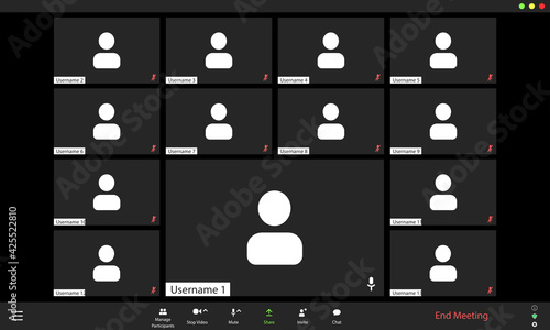 Video conference user interface, video conference calls window overlay