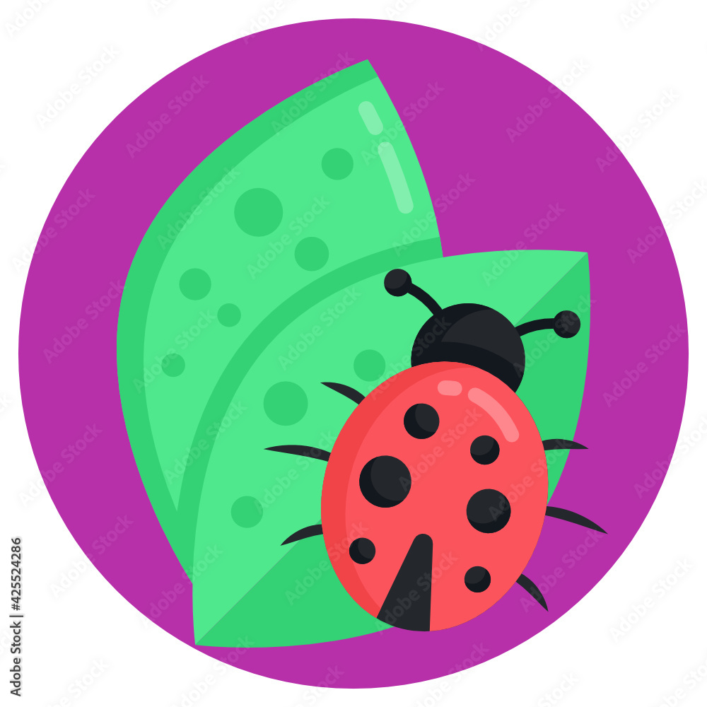 Obraz premium Leaves with beetle, concept of crop bug