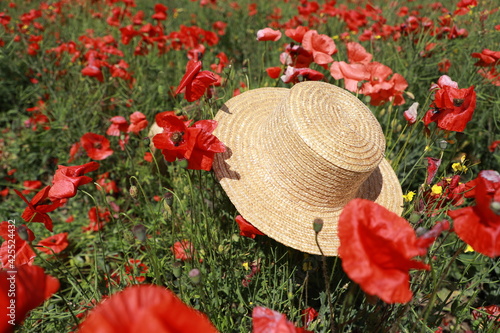 straw hat and flowers on the grass
