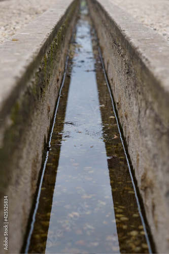 perspectief