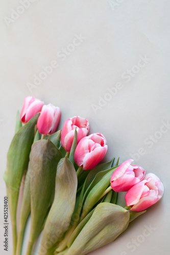 Fototapeta Naklejka Na Ścianę i Meble -  Pink tulips on   light green background