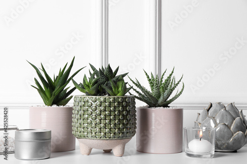 Beautiful Haworthia and Aloe in pots on white table. Different house plants