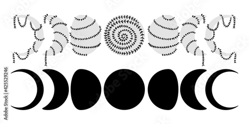 Floral Moon phases with leaf. Hand drawn vector. Full moon, cresent moon, quarter silhouette. Liana twines around the moon.