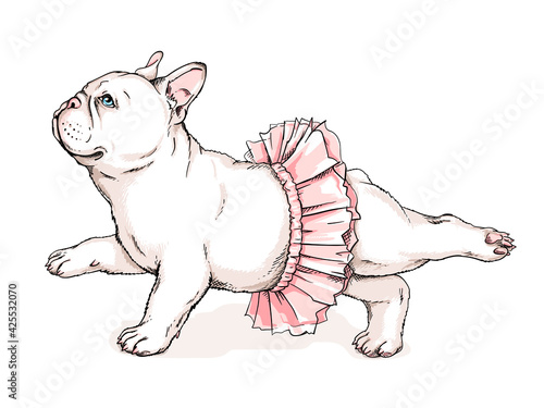 Cute french bulldog ballerina sketch. Dog in ballet tutu Vector illustration in hand-drawn style. Image for printing on any surface