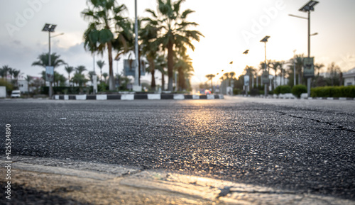 City asphalt road with palm trees along the road at sunset. © puhimec