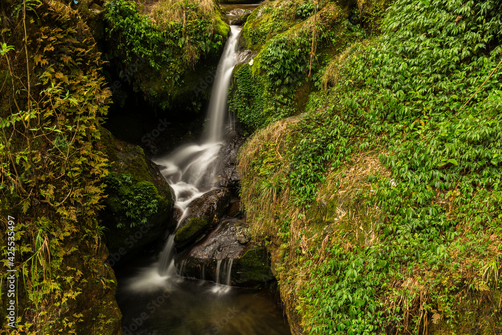 Beautiful landscape of water fall of North Sikkim, India.