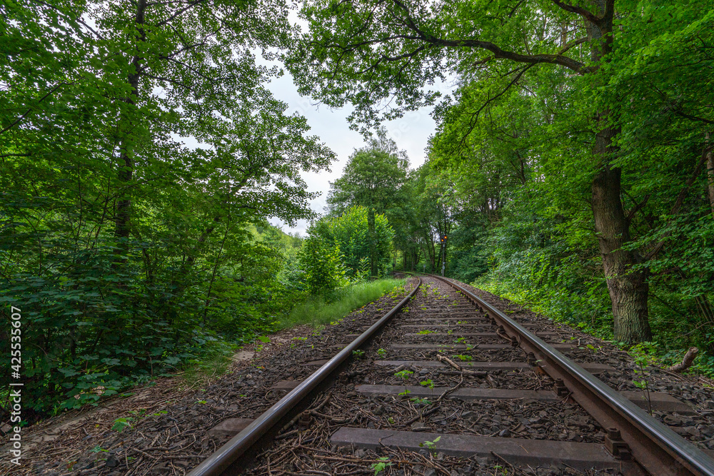 Bahnschienen durch die Natur