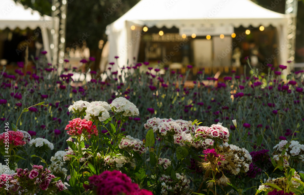 various flower arrangements in the open air with gazebo in the background