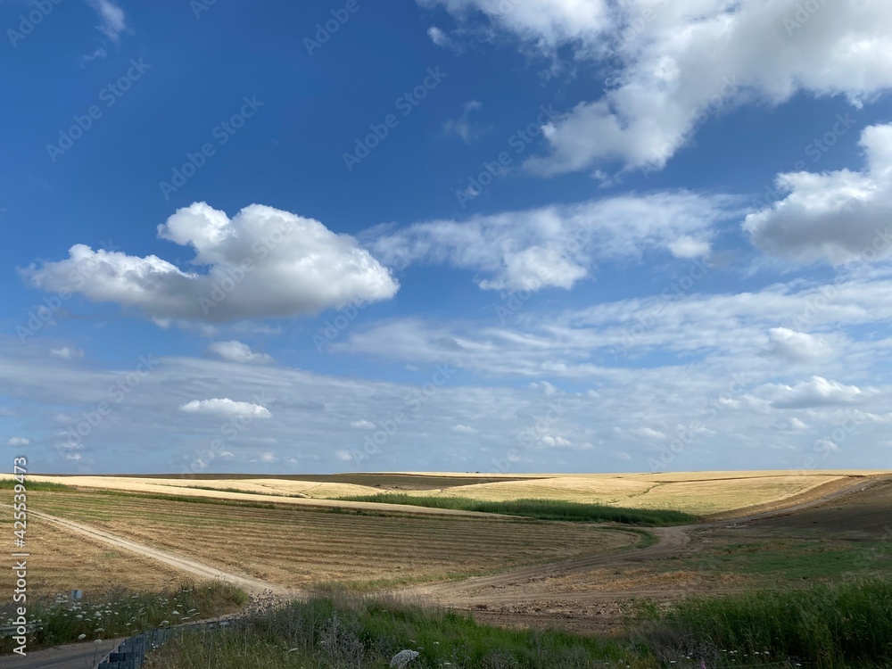 road in the field