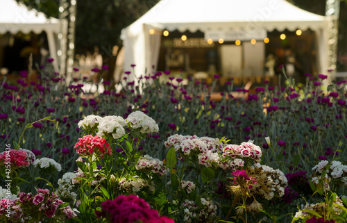 various flower arrangements in the open air with gazebo in the background