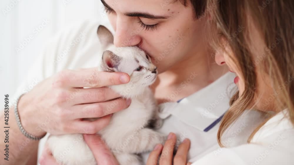 A beautiful couple of young lovers holding a small white kitten. A beautiful couple of young lovers holding a small white kitten.