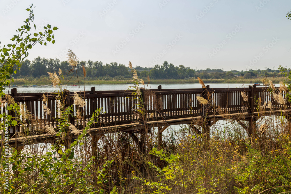 Park on the shore of an artificial lake in Rishon Le Zion. View of the wooden bridge over lake Israel. Autumn Park on the shore of an artificial lake in Rishon Le Zion. View of the wooden bridge over lake Israel. Autumn