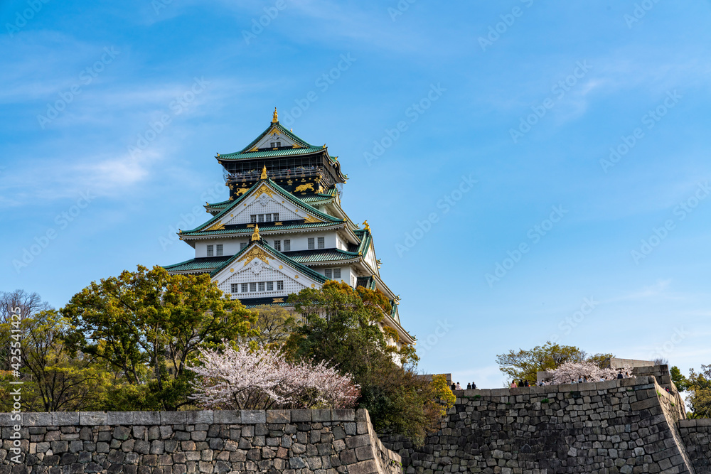 Fototapeta premium [大阪府]春の大阪城天守閣