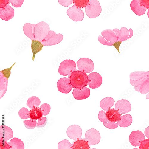 Pink petal Wax flower blossom pattern illustration watercolor painted