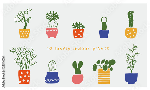 小さな可愛い観葉植物や多肉の鉢植え10個セット