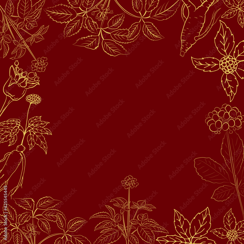 Drawing of leaves and root of ginseng. Ginseng root and berry vector drawing. A sketch of a medicinal plant. Linear graphic design. Drawing of leaves and root of ginseng. Ginseng root and berry vector drawing. A sketch of a medicinal plant. Linear graphic design.