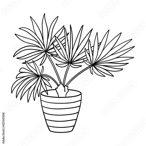 Vector potted houseplant, coloring page