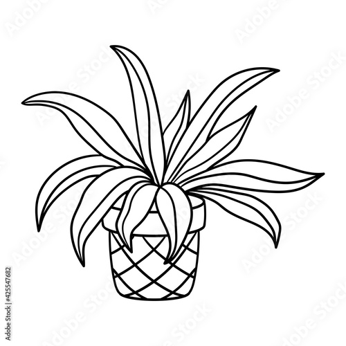 Wallpaper Mural Vector potted houseplant, coloring page Torontodigital.ca