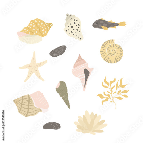 Objects from the seabed - fish, coral, shell, starfish, seaweed. Nature under water. Flat design, vector illustration