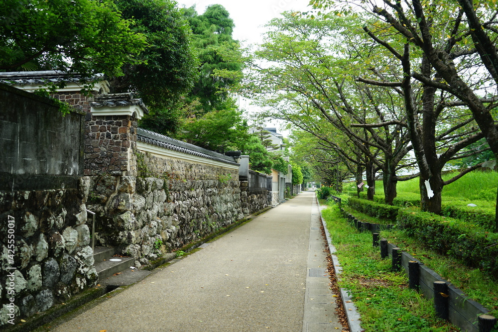 Fototapeta premium Japanese castle town in Kouchi.