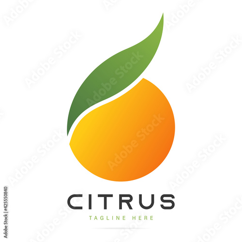 Abstract bright taste fruit citrus orange logo with green leaf sign.Design template fresh icon,juice concentrate symbol from curved lines.Print for pattern textile fabric.Vector isolated illustration