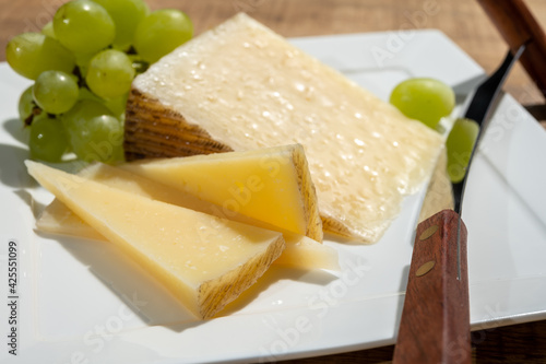 Cheese collection, piece of spanisch hard manchego cheese made in La Mancha region from sheep milk with green grapes