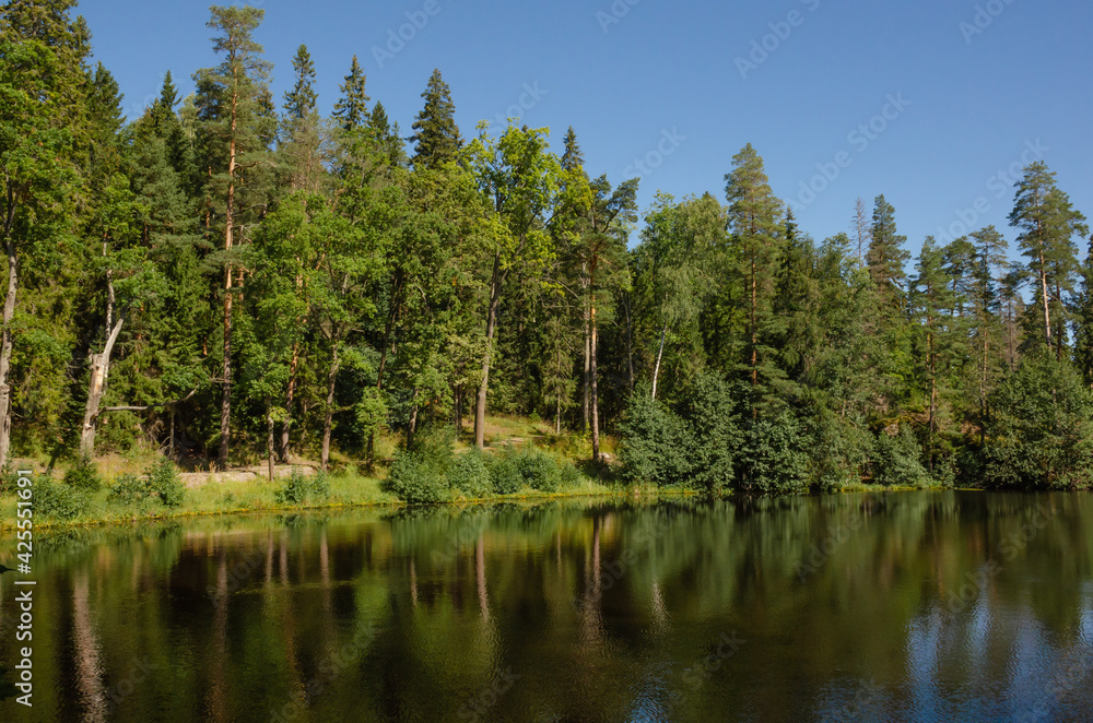 Green forest and blue sky are reflected in the calm water of the lake. Beautiful horizontal photo of summer background