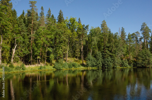 Green forest and blue sky are reflected in the calm water of the lake. Beautiful horizontal photo of summer background