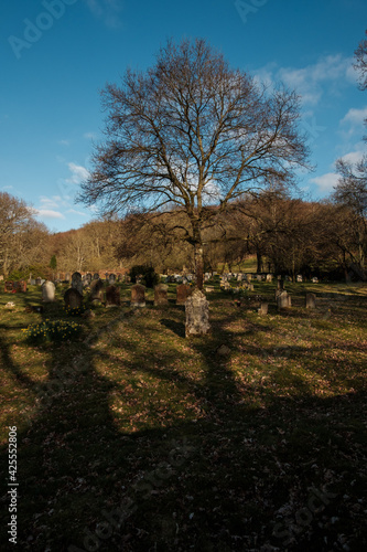 Cemetery at Iping, West Sussex near Milland photo