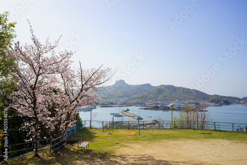 桜　香川県庵治町皇子神社からの眺め © KOZO