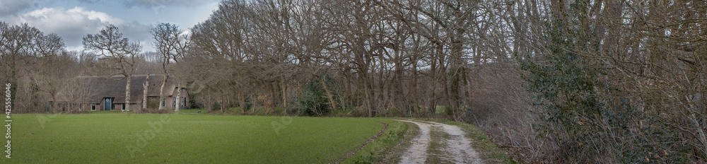 Historic Farm and country road. Dirtroad. Rheebruggen Uffelte Drenthe Netherlands. Panorama