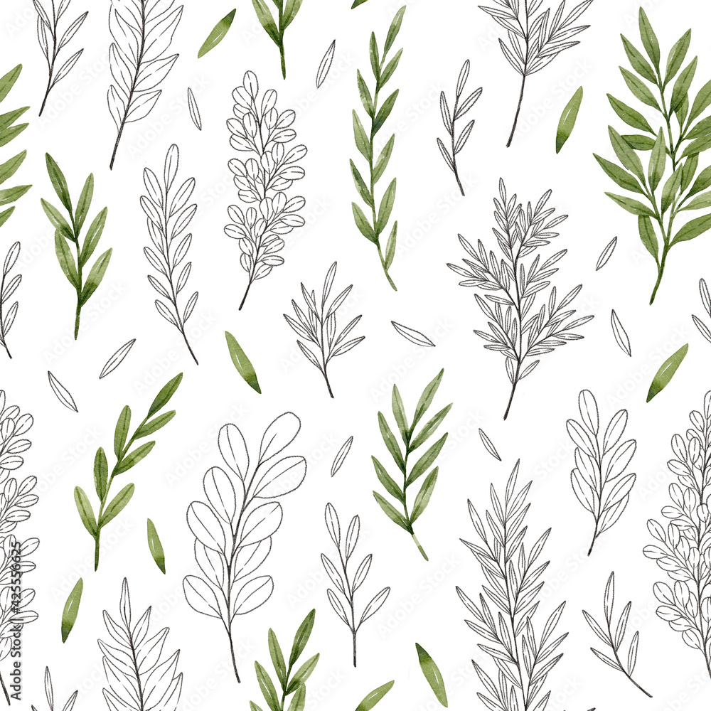 Pencil sketch and watercolor leaves and branches seamless pattern. Green watercolor eucalyptus, ferns and branches. Botanical illustration, isolated on white background. Pencil sketch and watercolor leaves and branches seamless pattern. Green watercolor eucalyptus, ferns and branches. Botanical illustration, isolated on white background.