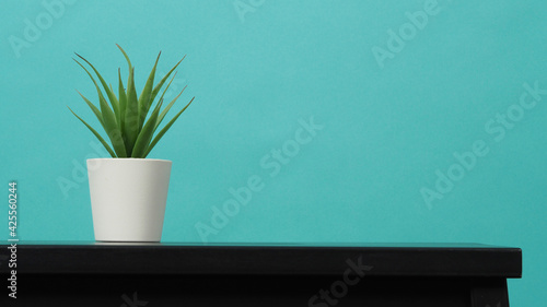 Artificial cactus plants or plastic or fake tree on desk with green and blue or Tiffany Blue background.