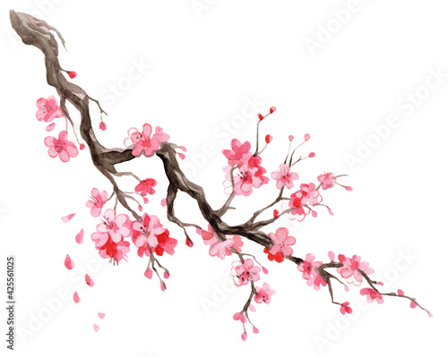 Print op canvas Japanese cherry blossom branch watercolor hand drawn illustration