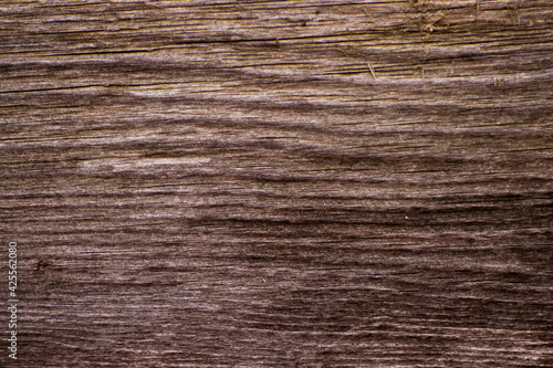 Wallpaper Mural The texture of the old coniferous wood planks darkened with age. Fibers and convolutions are directed with a bend. Vintage background. Torontodigital.ca