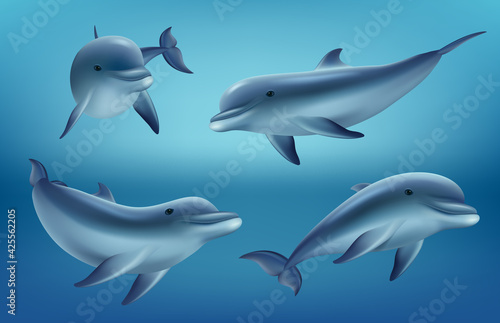 Dolphins realistic. Ocean or marine animals swim fishes with flippers deep blue sea underwater fauna decent vector realistic dolphins collection