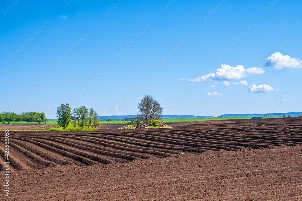 Plowed fields in a rural landscape view