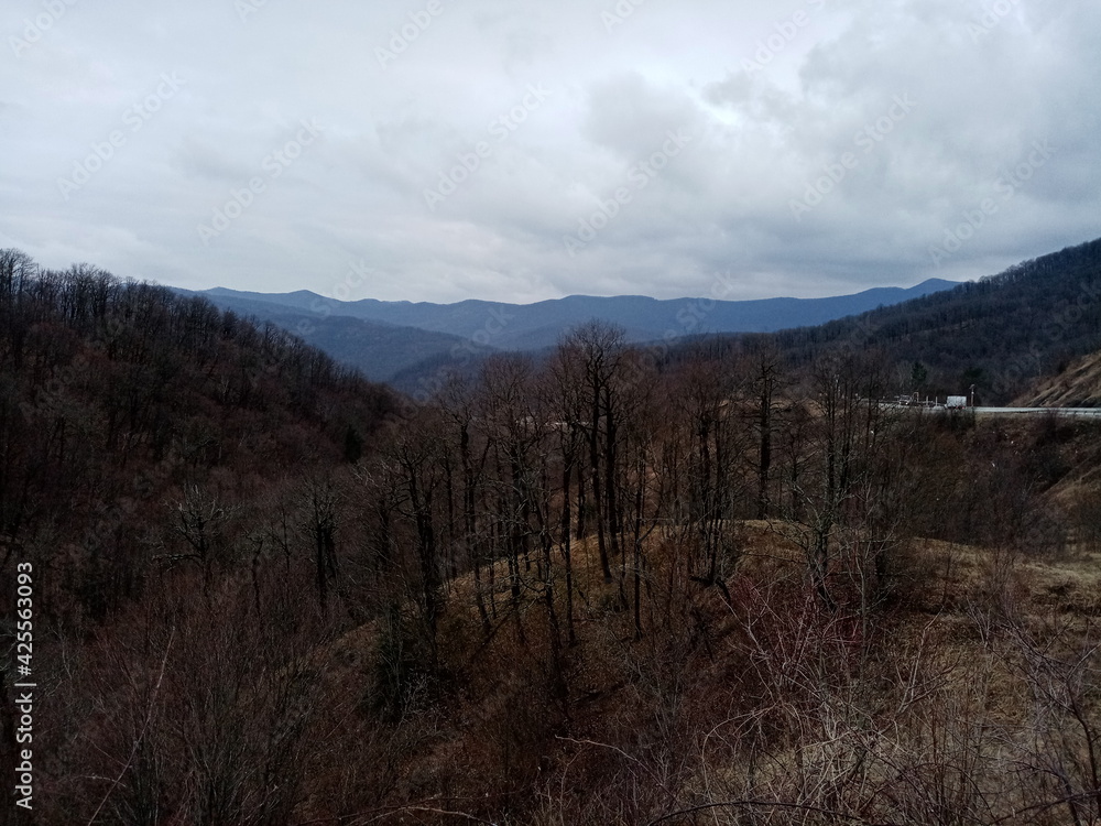 Краснодар Краснодар