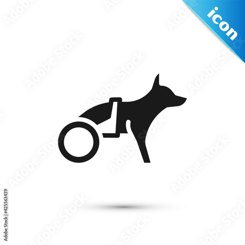 Grey Paralyzed dog in wheelchair icon isolated on white background. Vector
