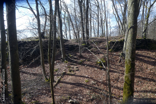 Kirschenweg in Pretzfeld photo