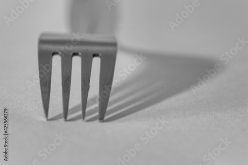 steel fork