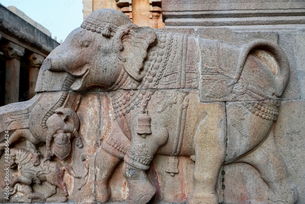Elephant sculpture carved in the stone walls of ancient Brihadeeswarar temple in Thanjavur, Tamilnadu. Indian rock art relief animal sculpture.