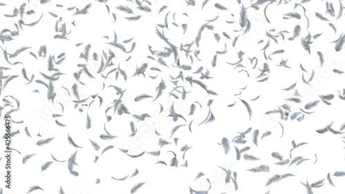 white soft feathers transparent isolated each element .3d render Illustration.