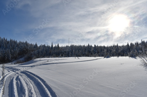 Snowmobile tracks near a frosty forest
