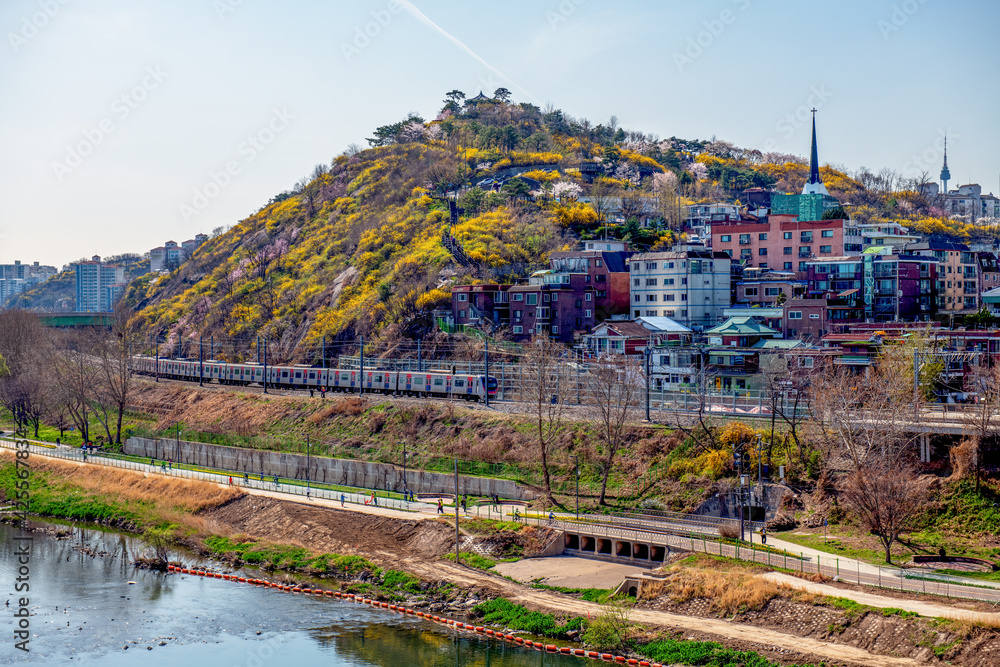 view of the city in spring, Seoul South Korea