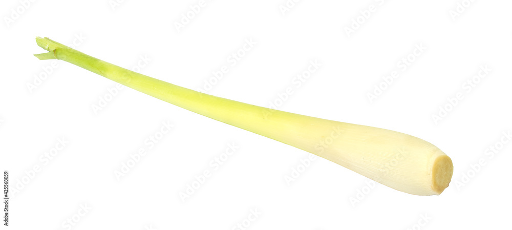 lemon grass isolated on white background lemon grass isolated on white background