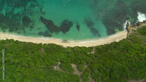 Aerial of beautiful sea coast and green trees, Cap Macre photo