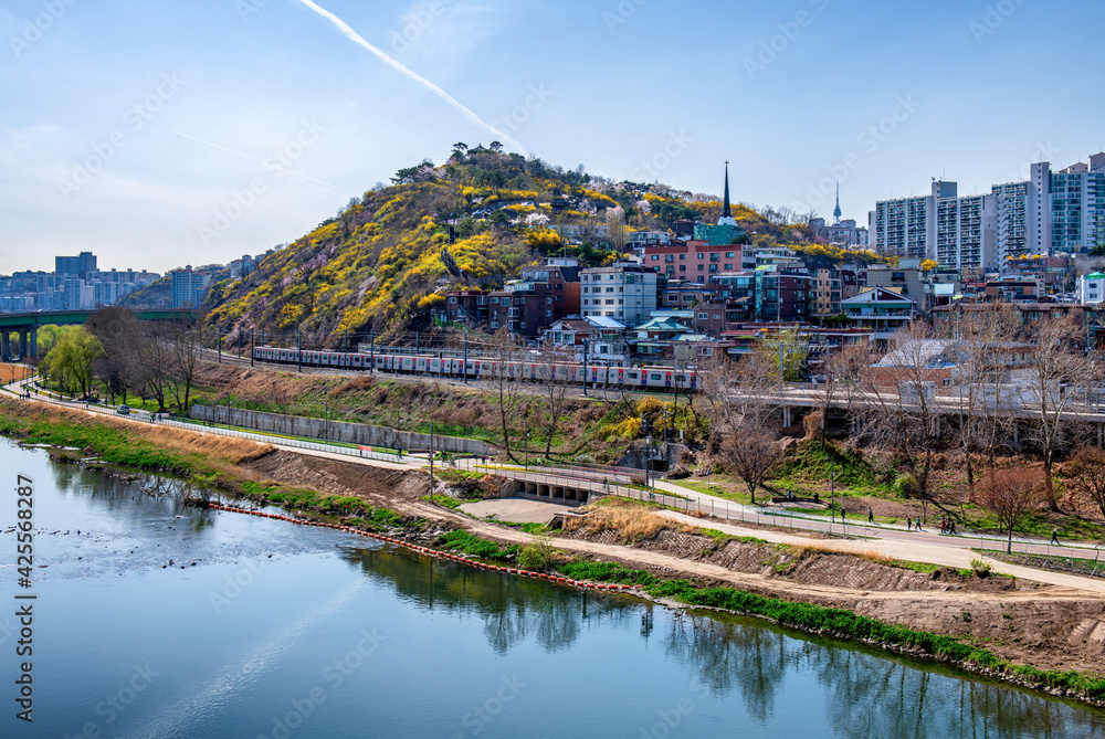Seoul City In spring South Korea.