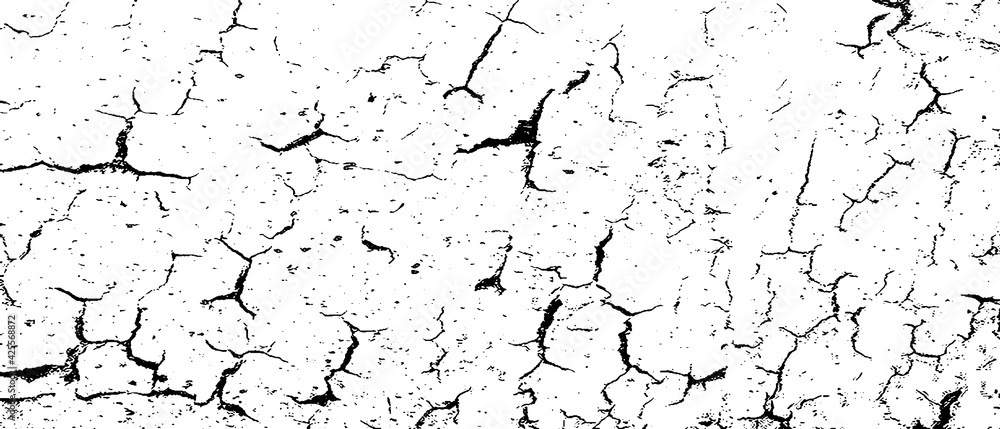 white paint on a wall