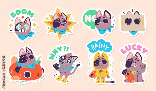 Illustration of a funny cat in diferent situations. Set of stickers, badges, patches. Vector
